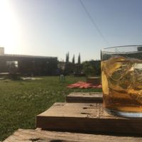 Aperitivo :) at Podere Arduino in Castagneto Carducci