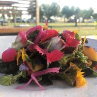 Salad with fruit, herbs and flowers at Podere Arduino in Castagneto Carducci