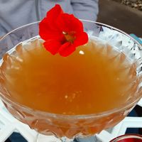 The Kindness of Strangers at Fog Eater Cafe in Mendocino