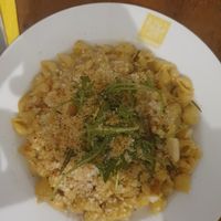 Mac and cheese with shells at Pasta Factory in Galway