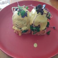 Tofu Avocado Benedict at Cafe Lincoln in Henderson