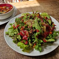  at The Warren in Carmarthen