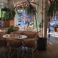 Interior at The Butcher's Daughter in Brooklyn
