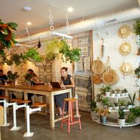 From the bakery and coffee shop next door. at The Butcher's Daughter in Brooklyn