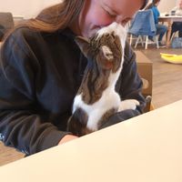  at Catnap Cafe in Christchurch