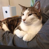  at Catnap Cafe in Christchurch