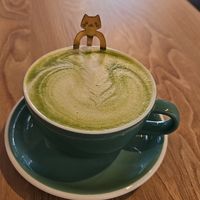  at Catnap Cafe in Christchurch