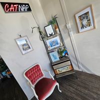  at Catnap Cafe in Christchurch