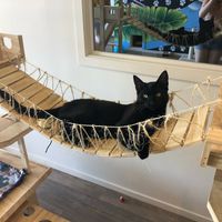 Cute!! at Catnap Cafe in Christchurch