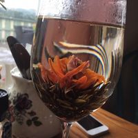 Flower Tea, choose from a ton of flowers! at Cafe Eighty2 in Drumnadrochit