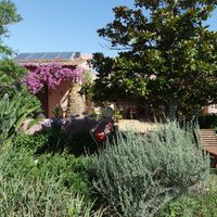 View from a side of the garden at Casa D'Ouro in Praia Da Luz