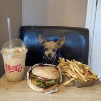 Burger, fries, and a shake 💚 at Monty's Good Burger in Riverside