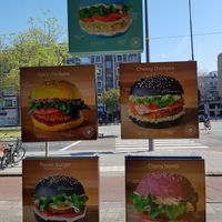 Burgers to choose at Flower Burger in Rotterdam