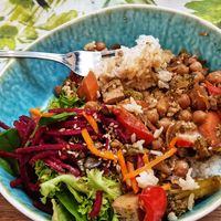 Teriyaki bowl at My Secret Garden Cafe in Vienna