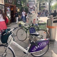 🚲   at My Secret Garden Cafe in Vienna