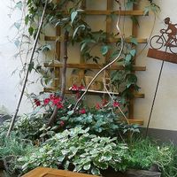 Outdoor seating decorations at My Secret Garden Cafe in Vienna