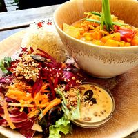 Curry of the day with rice and salad at My Secret Garden Cafe in Vienna
