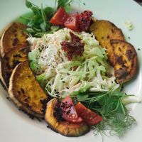 Batatas - sweet potato with coleslaw salad at bistro ZDRAVO in Sarajevo