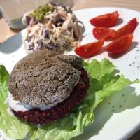 Burger at bistro ZDRAVO in Sarajevo
