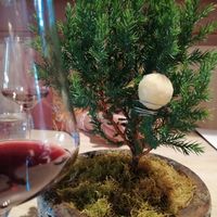 Juniper and muntries at Lûmé in South Melbourne