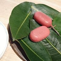 Ficus icy pole at Lûmé in South Melbourne