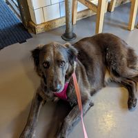  at The Meat Counter in Falmouth