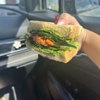 Veggie sandwich   at Grati Cafe in Key Largo