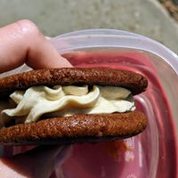 8/10 - Ginger sammy - so much ginger at Food in the Nūd in Edmonton