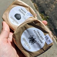 2 of the 5 vegan cheese options.  at Food in the Nūd in Edmonton