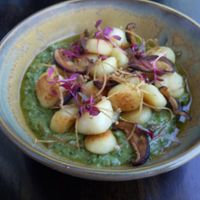 Gnocchi at Zetta's Pantry in Fitzroy