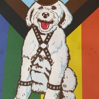 💚💜💙  at Monty's Good Burger - Koreatown in Los Angeles