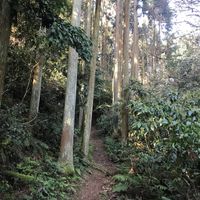 Nearby hiking trail at Vegan Minshuku Sanbiki Neko in Kyoto