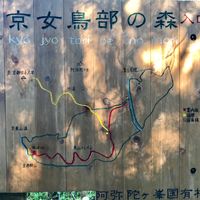 Signboard at start of local trail  at Vegan Minshuku Sanbiki Neko in Kyoto
