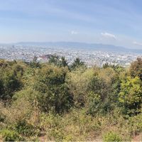 View from the top of the hill above Fushimi-Inari  at Vegan Minshuku Sanbiki Neko in Kyoto