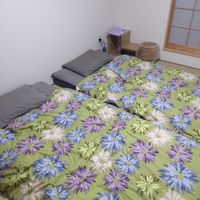 Our room at Vegan Minshuku Sanbiki Neko in Kyoto