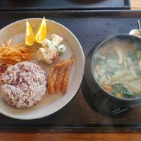 Hallasan fern hotpot at Loving Hut in Seogwipo