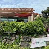   at Loving Hut in Seogwipo