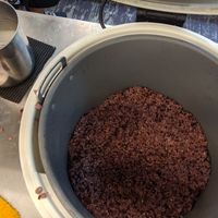 Rice at ZhǎngChūn 長春 - Chongde in Tainan