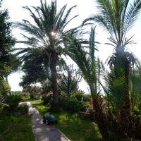 Walk around. at Casa Lora in Forio Dischia