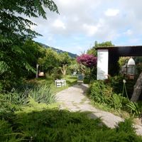 Garden all around. at Casa Lora in Forio Dischia