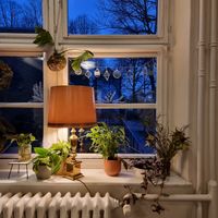 Interior at püük - fein + herausgeputzt in Hamburg