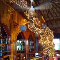 Main seating at Elvi's Kitchen in San Pedro