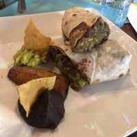Vegan bean wrap recommended by staff (Yummier than it looks!)  at Elvi's Kitchen in San Pedro