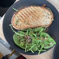 Panini!  at Short + Stout in Chester
