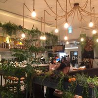 Seating (as seen from the back of the restaurant) at Mr. Farmer - Midtown Hibiya in Tokyo