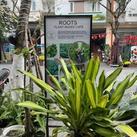   at Roots Plant-Based Cafe in Da Nang