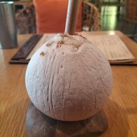 coconut water at Roots Plant-Based Cafe in Da Nang