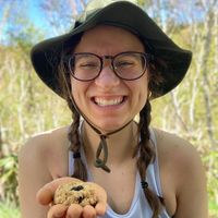 Vegan cookie I bought from there   at Inori in Toyoura