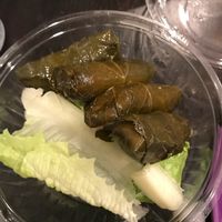 Dolma at Cafe Beirut in Jamaica Plain