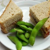 pb and j at Cafe Mundo in Newport